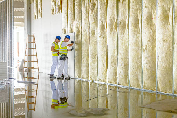 Best Commercial Insulation in Lamesa, TX